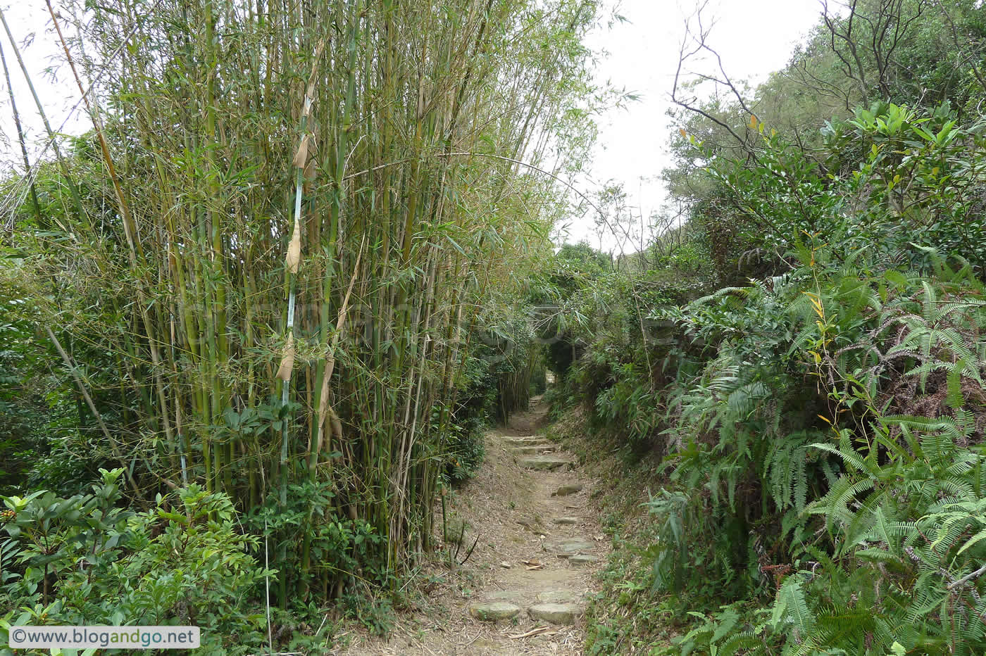 Lantau Trail 9 - To Distance PostL9 1